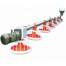 quality PLC Automatic Chicken Feeding Line 220V 50Hz Poultry Feed Lines factory